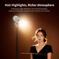Lampe à cheveux à focalisation réglable, bicolore, à gradation progressive, projecteur pour photographie de portrait en studio, diffusion en direct, lumière d'appoint