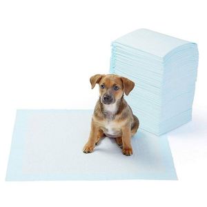 Meilleures ventes : Coussinets absorbants, anti-fuites et respirants pour chiens et chiots - Product Image 3