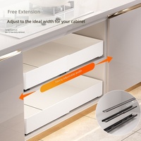 Étagère de rangement coulissante extensible en plastique de style minimaliste pour armoire, panier de rangement, plateau, organisateur d'épices