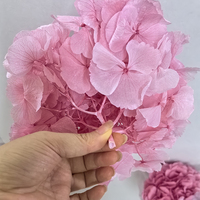 Hortensia à grandes feuilles éternelles, fleur préservée, tête d'hortensia rose ronde de 15-20 cm, matériel floral pour mariage, pour vase, fournitures florales