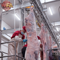 Équipement d'abattage halal pour bovins, ligne d'abattage de moutons, machine d'abattage de chèvres, volailles, bétail, matériel d'abattage de viande