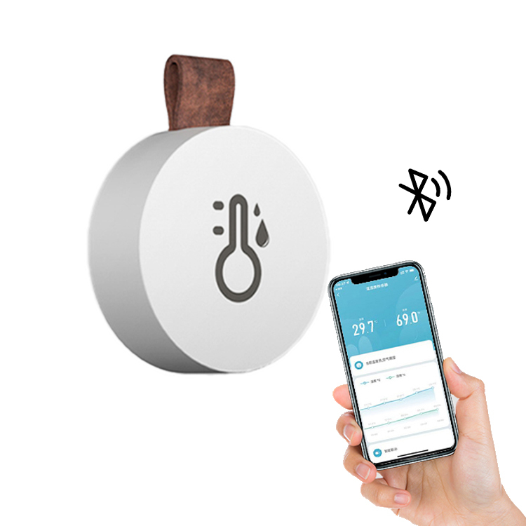Bluetooth регистратор данных смарт-термометр сигнализации Thermom 100 дней записи экспорт бесплатное приложение детской комнаты вина датчик температуры и влажности