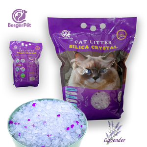 Lettiera per Gatti in Cristallo Ecologica per una Gestione Igienica e Senza Odori dei Rifiuti Felini - Product Image 4