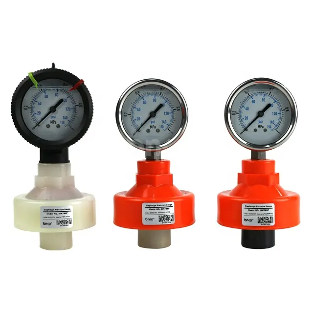 1Mpa PVDF diaphragm pressure gauge