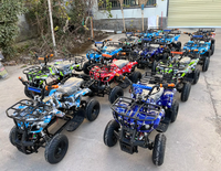 Quad électrique tout-terrain Spider 48V à vendre – Véhicule utilitaire 4 roues pour la plage