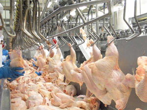 Nouveau Type bon marché prix abattoir carcasse découpeuse machines de traitement de la viande équipement de boucher pour équipement de volaille - Product Image 2