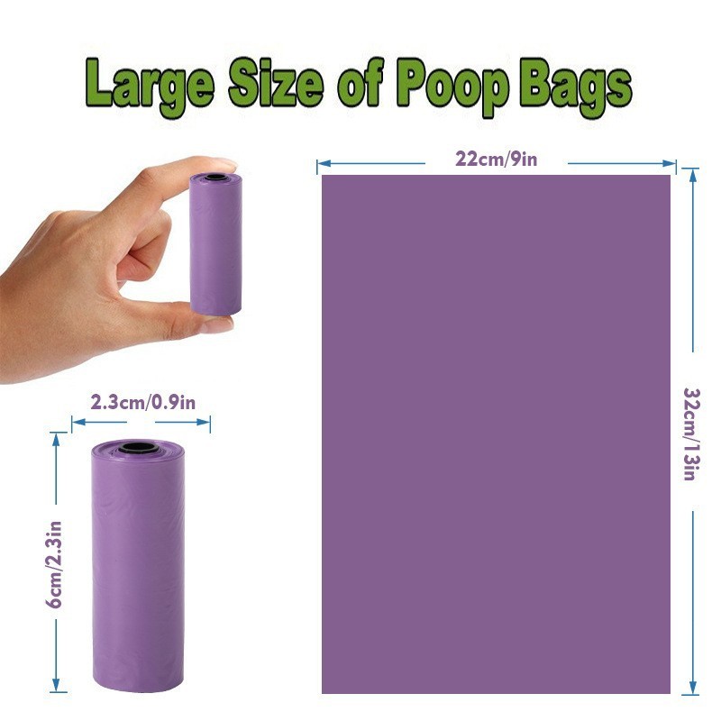 Pourpre