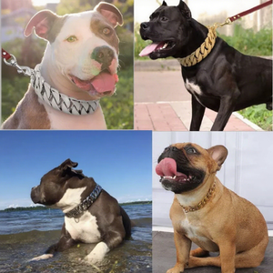 32mm Edelstahl Hunde halsband & Leine Set Eleganter einfacher Cartoon-Stil für mittelgroße französische Bulldogge Großhandel Haustier bedarf - Product Image 3