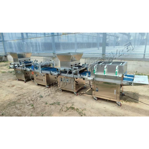 Máquina de plántulas de tapón de <span class=keywords><strong>pimienta</strong></span> y verduras Máquina automática de plantación de semillas Maquinaria de plantación de semillas vegetales de <span class=keywords><strong>grano</strong></span> pequeño - Product Image 3