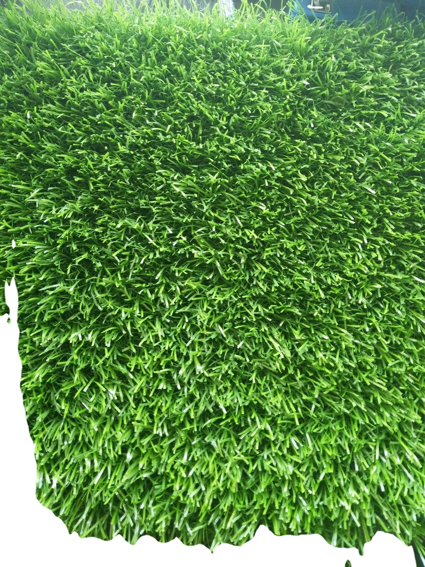 Verde
