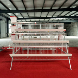กรงไก่แบบ A-Frame 4 ชั้น สำหรับไก่ไข่ 120 ตัว – ระบบการผลิตไข่เชิงพาณิชย์ - Product Image 1
