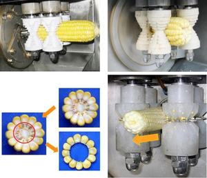 Directo <span class=keywords><strong>de</strong></span> fábrica y el maíz <span class=keywords><strong>de</strong></span> la trilla <span class=keywords><strong>de</strong></span> la máquina se desgranadora <span class=keywords><strong>de</strong></span> maíz para la <span class=keywords><strong>venta</strong></span> precio Favorable dulce desgranadora <span class=keywords><strong>de</strong></span> maíz para la <span class=keywords><strong>venta</strong></span> - Product Image 4