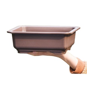 12,1*12,1 cm arcilla púrpura bonsái maceta cuadrada de plástico suculenta maceta para uso en el hogar o centro comercial - Product Image 1