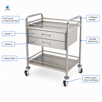 Chariot médical en acier inoxydable BT-SIT045, chariot utilitaire pour traitement, chariot à instruments d'hôpital, 2 niveaux avec roues, CE