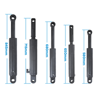 High Performance Truck Tailgate Hydraulic Single-Acting Ram Lifting Cylinder Hard Chrome Plated for Delivery Truck Taillift
