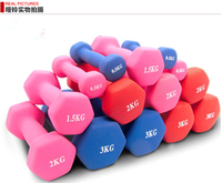 Haltères roses à usage domestique haltères en néoprène pour la musculation du fitness pour femmes haltères hexagonaux revêtus de fer à tremper