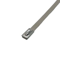 Unterschied liche Größe Ss 316 Edelstahl Kabelbinder Basis 7,9x450mm