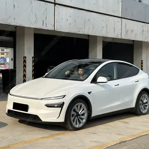 Pour Tesla Model Y Édition Rafraîchie 2024-2025 – Kit de Décoration de Carrosserie Avant : Cache de Spoiler pour Phare Antibrouillard Avant - Product Image 4