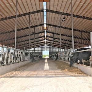 Struttura in Acciaio Leggero per Stalla di Mucche con Caratteristiche Anti-Corrosione e Antiruggine, Moderna <span class=keywords><strong>RT</strong></span> con Garanzia di 1 Anno - Product Image 2