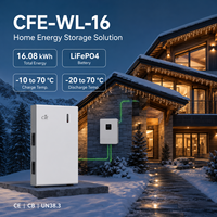 Batterie solaire LFP4 16kWh 10kWh 5kWh 51.2V 314Ah CFE-WL-16 compatible Solis pour système ESS résidentiel CE CB OEM
