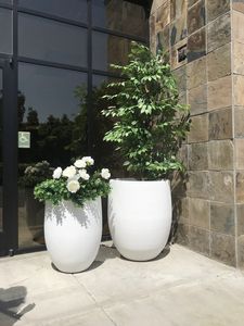 <span class=keywords><strong>Maceta</strong></span> <span class=keywords><strong>de</strong></span> aspecto delicado, grande, China, venta al por mayor, nueva <span class=keywords><strong>maceta</strong></span> redonda - Product Image 5