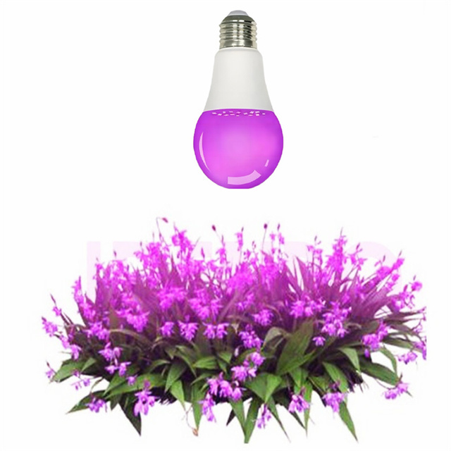 Factory Direct Full Spectrum High Power LED Grow Light Bulb CRI 90 IP40 Rated 2-Year Warranty for Bloom Seed Starting
