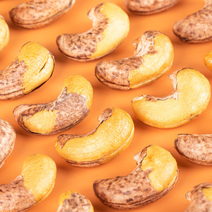 Hạt điều rang cao cấp tự nhiên không muối, đóng gói số lượng lớn hoặc bán lẻ, dịch vụ OEM cho siêu thị và thương hiệu sức khỏe W180 - Product Image 4