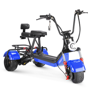 Triciclo de Tres Ruedas de 6 Pulgadas y 800w, Último Modelo de Fábrica, Moderno y Seguro, Triciclo para Adultos - Product Image 4