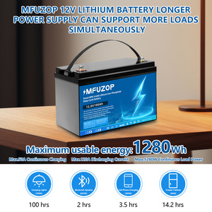 DATOUBOSSドイツ10年物寿命12v 24v 100ah 200ah 300ah 48Vエネルギー貯蔵ソーラーLifepo4バッテリー - Product Image 5