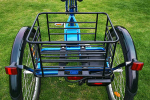 EZREAL RTS 24 "bici elettrica 3 <span class=keywords><strong>ruote</strong></span> Trike elettrico 350W adulti triciclo <span class=keywords><strong>bicicletta</strong></span> elettrica <span class=keywords><strong>tre</strong></span> <span class=keywords><strong>ruote</strong></span> con 7 velocità - Product Image 6