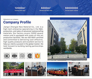 Revêtement imperméable de 5KG Tuiles de toit en béton d'argile rajeunissant améliore la couleur fournit un revêtement mural imperméable brillant - Product Image 5