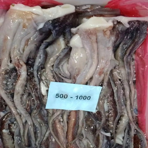 ปลาหมึกหนวดยักษ์แช่แข็ง - Product Image 6