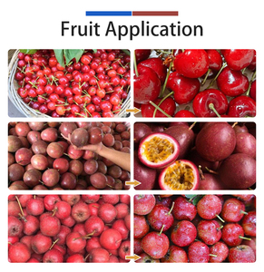 Línea de Limpieza de Frutas y Verduras Fengxiang Design para Procesamiento de Alimentos, Máquina Comercial de Lavado y Secado por Ventilación de Frutas y Verduras - Product Image 2