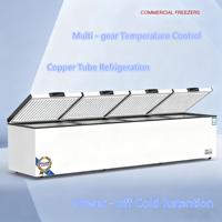 Congélateur coffre à ouverture supérieure en gros Congélateur profond Réfrigérateur Congélateur horizontal