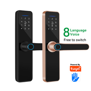 Handaily Khóa Cửa Tay Nắm Chống Nước Có Khóa Vân Tay Thông Minh Khóa Cửa Không Chìa Tám Ngôn Ngữ Sử Dụng - Product Image 2