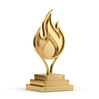 Série de trophées créatifs en métal doré avec impression UV pour récompenses sportives et cadeaux de bienvenue