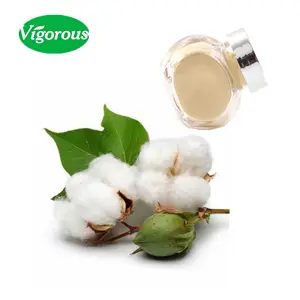 ISO工厂批量供应棉籽提取物天然棉籽粉
