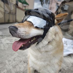 Casque et Lunettes de Protection pour Chien – Ensemble Tendance en Plastique pour Petits et Moyens Chiens – Accessoire de Tête Cool et Durable pour Toutes Saisons - Product Image 2