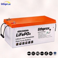 LiFePO4 Batteriezelle 48V200AH 3-Rad-Roller-Batterie Vibrationsbeständig Fortschrittliches BMS für Elektro-Dreirad-Roller MSDS UN38.3 CE