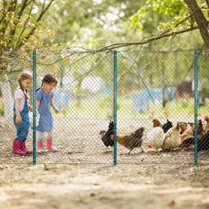 Sunshine tiang pagar besi Modern ramah lingkungan, pagar kawat luar ruangan tugas kokoh 5 kaki 10 tanpa Gali - Product Image 4