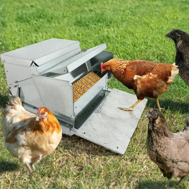 Metal Treadle Chicken Feeders Outdoor Chicken Broiler Poultry Farm Automatic Feeder Chickens Trough