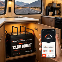 Baterai LiFePO4 Mini Enlzh 12.8V 100Ah, Baterai Lithium Pintar Bluetooth dengan Pemanasan Otomatis, Mendukung Penyimpanan Energi Seri 4S
