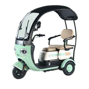 Vélo cargo <span class=keywords><strong>électrique</strong></span> à 3 roues, nouveau style, pour usage familial, 600W, <span class=keywords><strong>avec</strong></span> <span class=keywords><strong>toit</strong></span> - Product Image 1