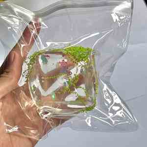 Clear Ocean Fish Maltose Cube Ball Series TPR Squeeze Toys Cool Ambiance Stress Relief Decompression Gift for Kids and Adults - Product Image 3