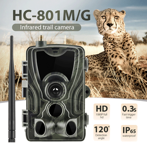 Ngoài Trời Phạm Vi Hành Động Săn Bắn <span class=keywords><strong>Camera</strong></span> HC-900M 20MP 1080P Chuyển Động Kích Hoạt Night Vision Trail <span class=keywords><strong>Camera</strong></span> MMS Không Dây Hồng Ngoại Trò Chơi Cam - Product Image 2