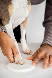 Premium kişiselleştirilmiş ahşap anıt köpek Urn <span class=keywords><strong>Pet</strong></span> fotoğraf bellek hatıra kutusu pençe baskı izlenim kiti evcil hayvanlar için Ashes Ashes - Product Image 6