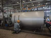 Chaudière à vapeur industrielle horizontale à tubes de feu basse pression, alimentée à la biomasse et au gaz, pour le chauffage des hôtels et l'alimentation en eau chaude