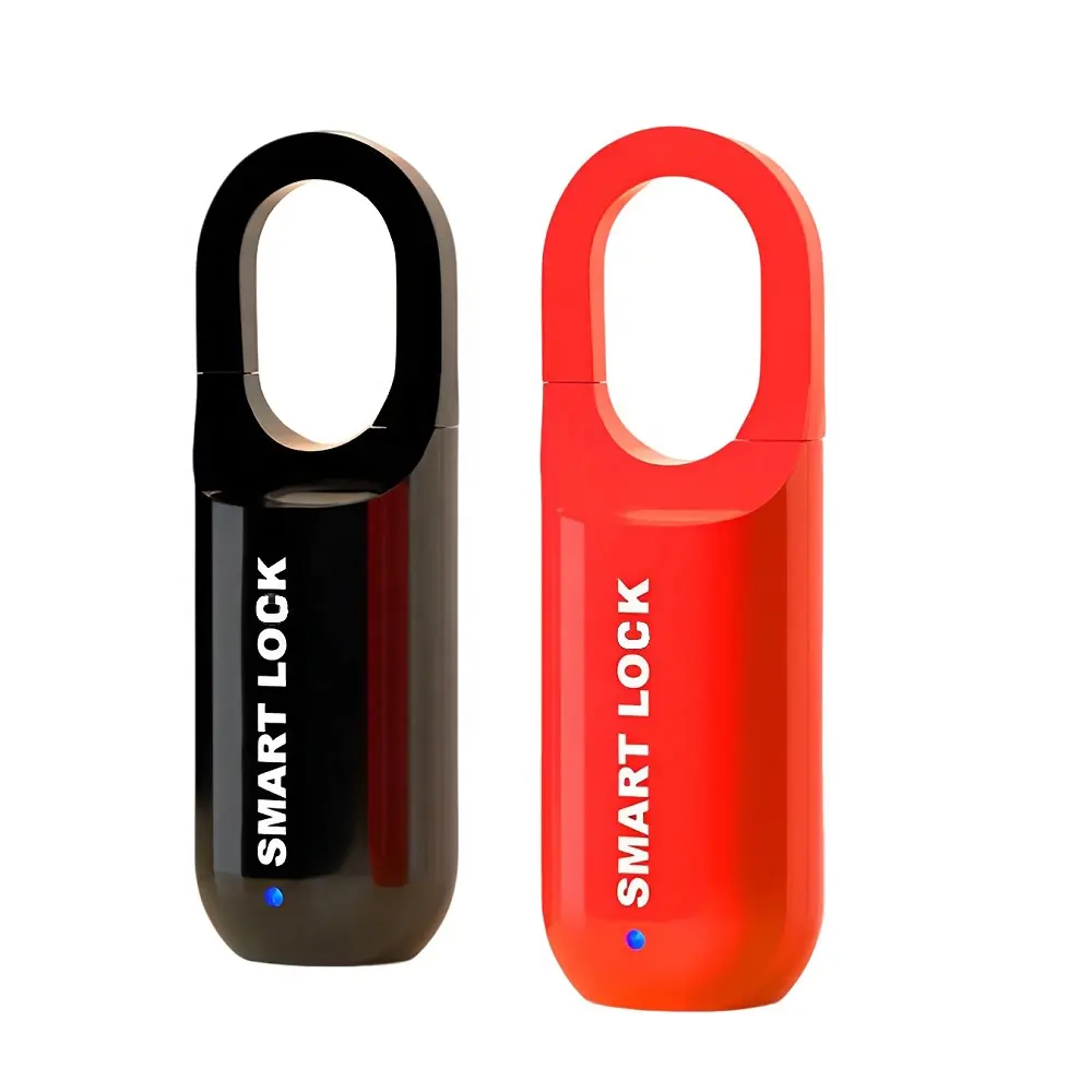 Keyless Mini 10Pcs Vingerafdrukken Hangslot Voor Tas Bagage Gym Beveiliging Anti-Diefstal Biometrische Slot Vingerafdruk Slim Hangslot