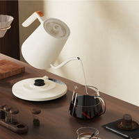 Bouilloire Électrique Intelligente en Acier Inoxydable 800ml avec Contrôle Numérique de la Température et Design Ergonomique pour Thé, Café et Usage Domestique