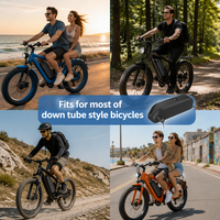Batterie Li-ion rechargeable Hailong 48V 15Ah pour vélos électriques et vélos - Stock US